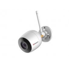 HiWatch DS-I250W (4 mm)